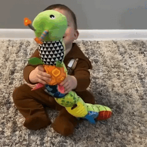 Infant Musical Rattler