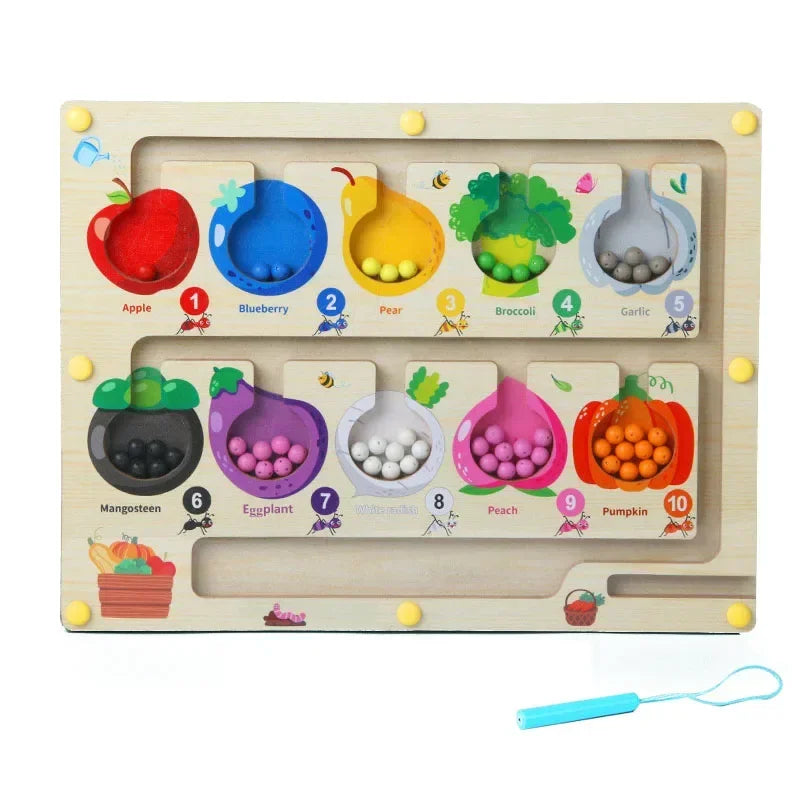 Magnetic Color Sorting Game